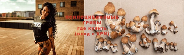 мдма Заводоуковск