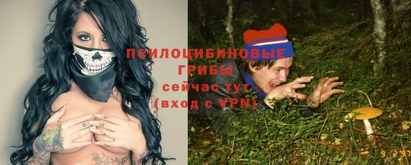 мдма Заводоуковск